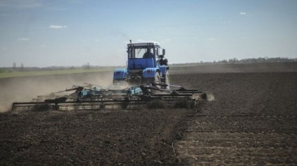 В Украине начали работать антирейдерские аграрные штабы