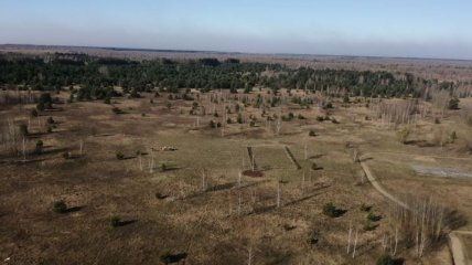 В ГСЧС дали отчет: Какая ситуация с пожарами в Чернобыльской зоне (Видео, Фото)