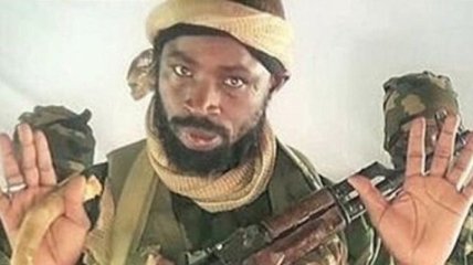 "Программа работает не так": США отказались награждать боевиков "ИГИЛ", ликвидировавших главаря "Боко Харам"