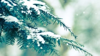 Погода в Украине 8 декабря: преимущественно снег с дождем 