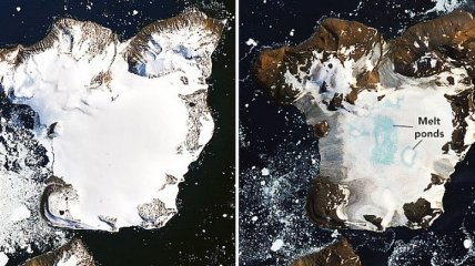 Это человечеству не на руку: NASA показало, что происходит в Антарктиде (Фото)