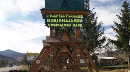 Эксперт: Самый старый природный парк Украины может возглавить взяточник