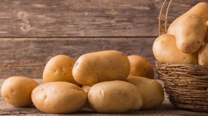 Названы причины, почему надо есть картофель 