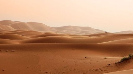 В Сахаре было достаточно воды: в пустыне обнаружены останки древней рыбы