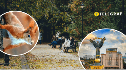 Какая погода будет в сентябре