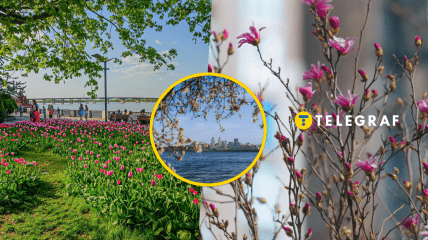 Погода в Днепре