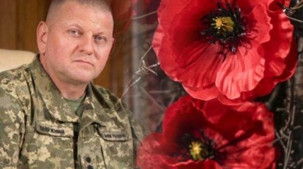 Генерал напомнил о миллионах украинцев, которые боролись против нацизма