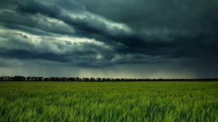 Прогноз погоды в Украине на 30 мая: дожди и грозы 