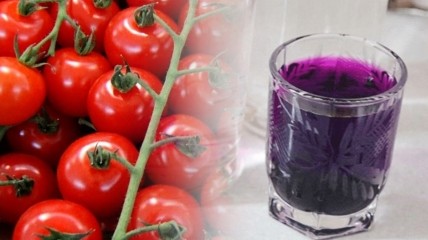 Чим обприскувати помідори, щоб був здоровий урожай