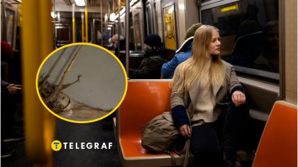 Во львовском трамвае нашли мумию