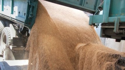 У Абромавичуса понизили прогноз экспорта зерна из Украины