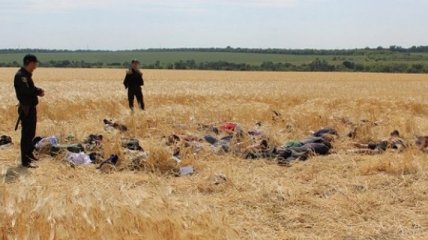 В Кировоградской области рейдеры попытались захватить сельхозпредприятие
