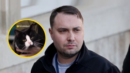 Кот Гюнтер - один из домашних любимцев Кирилла Буданова