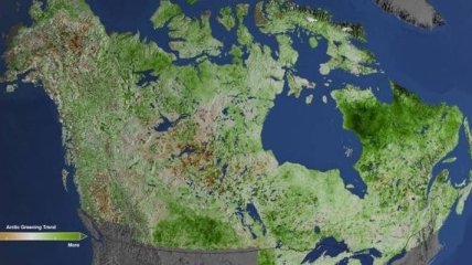 NASA изучает озеленение Арктики 