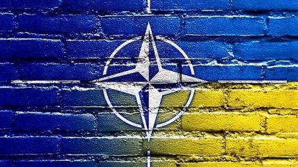 Стремление Украины в НАТО хотят внести в Конституцию