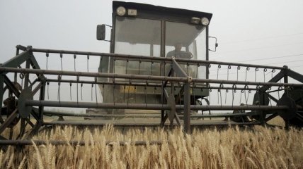 Эксперты снизили прогноз экспорта зерна из Украины на 11%