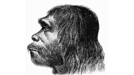 Неандертальцев отлучали от груди матери после 7 месяцев