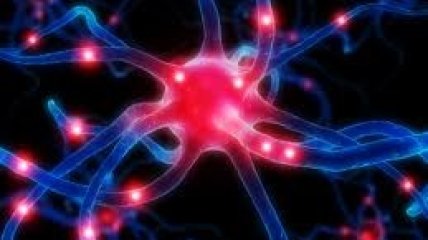 Гормон может генетически склонить человека к обжорству