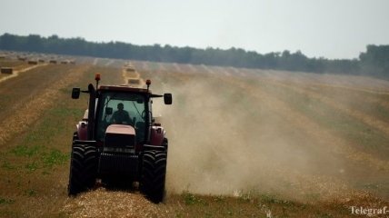 В 2016 году собран рекордный урожай зерновых Украины 