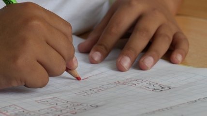 Успехи детей в освоении чтения и математики зависят от их личностных черт