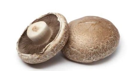 С помощью каких грибов можно похудеть? 