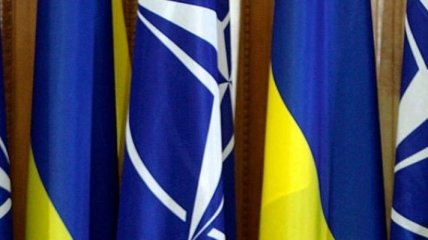 Украину в июле посетит Североатлантический совет НАТО