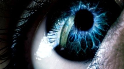 Ученые создали полимерную сетчатку глаза