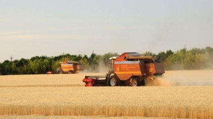 Азаров подтверждает, что ограничения на экспорт зерна не будет