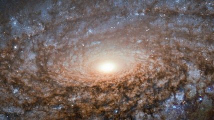 Hubble сделал снимок пузырчатой и шерстистой галактики 