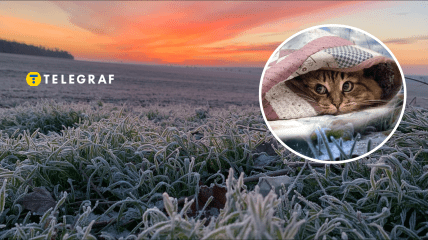 Погода в Україні