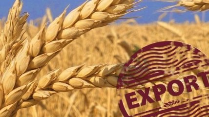 Экспорт зерновых Украиной снизился по сравнению с прошлым годом