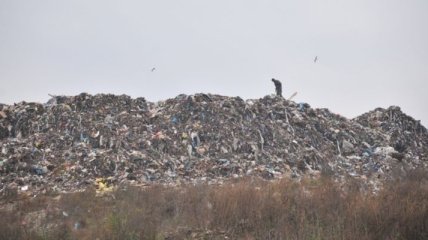 На стихийной свалке под Киевом нашли незаконный львовский мусор