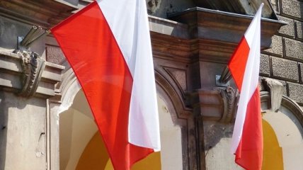 ИНП Польши отреагировал на обнародованные документы РФ по Второй мировой войне