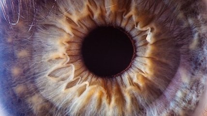 Завораживающий человеческий глаз. Макросъемка (Фотогалерея)