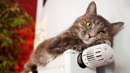 Отопительный сезон в Украине: в каких областях начали давать тепло