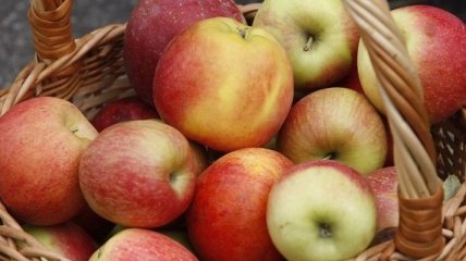 Эксперт: экспорт украинских яблок вырастет на 30%