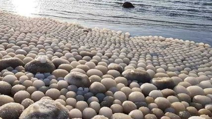 На побережье финского острова вынесло тысячи "ледяных яиц" 