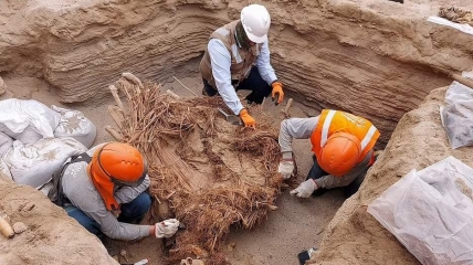 Найденные останки лежат там примерно 800 лет