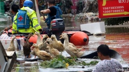 В Китае из-за обильных дождей погибли 8 человек