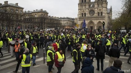 Париж заявил о поддержке протестов "желтых жилетов" из-за рубежа  
