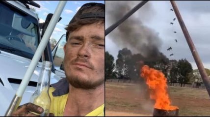 Австралийский фермер прославился, сняв для ТикТок огненный метод борьбы с грызунами (видео)