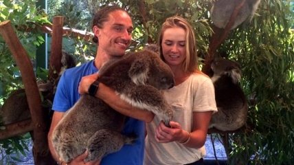 Свитолина и Долгополов посетили коал и кенгуру (Фото)