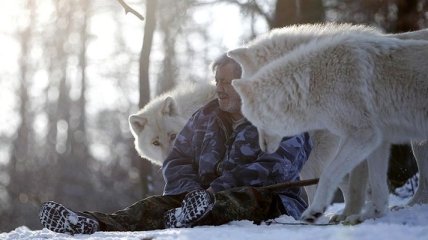 Мужчина стал повелителем волков (Фотогалерея)