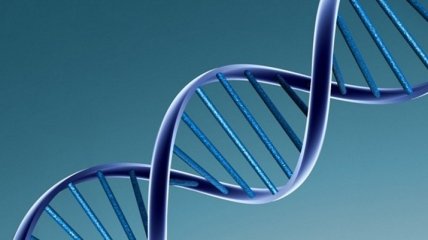 Ученые разработали быстрый, точный и доступный метод синтеза ДНК