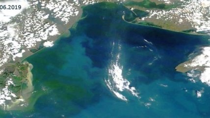 "Зеленое" море: Экологи рассказали, почему "цветет" Черное море