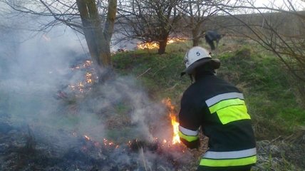 В Хмельницкой области горело более 9 га хвойного леса