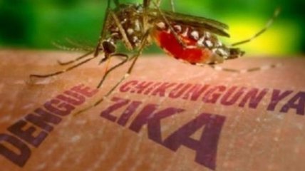 В Румынии зарегистрирован первый случай заражения вирусом Зика