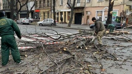 Поваленные деревья и оборванные электролинии: Одессу накрыл шторм (Фото)