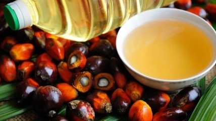 В Украине могут запретить использование пальмового масла