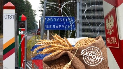 Европа банит российское зерно: что будет с ценами и разблокирует ли это границу Украины с Польшей